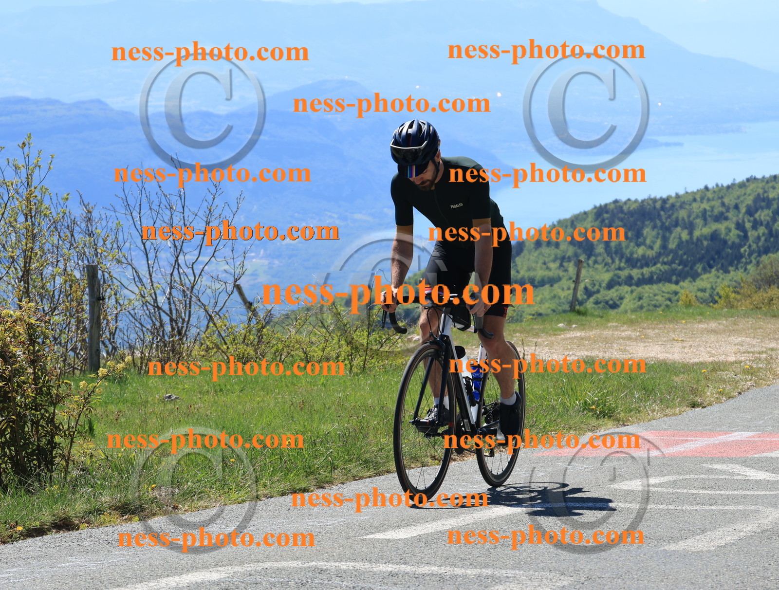 Col du grand Colombier (48).JPG