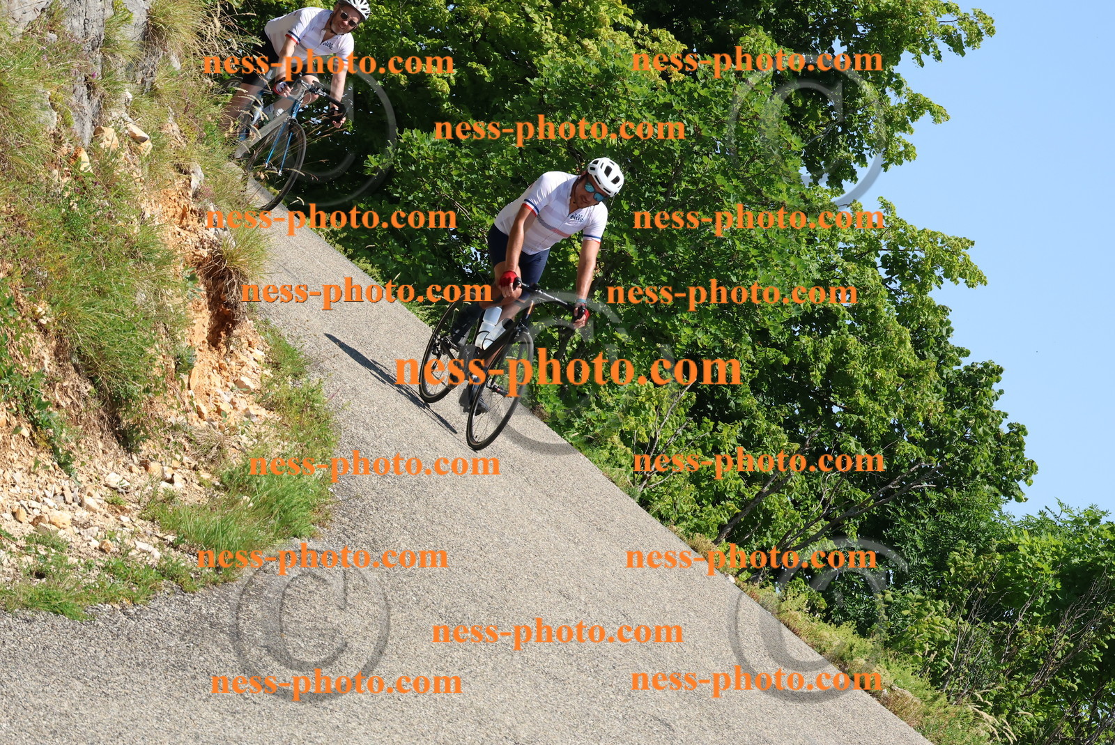 Col du Grand Colombier (491).JPG