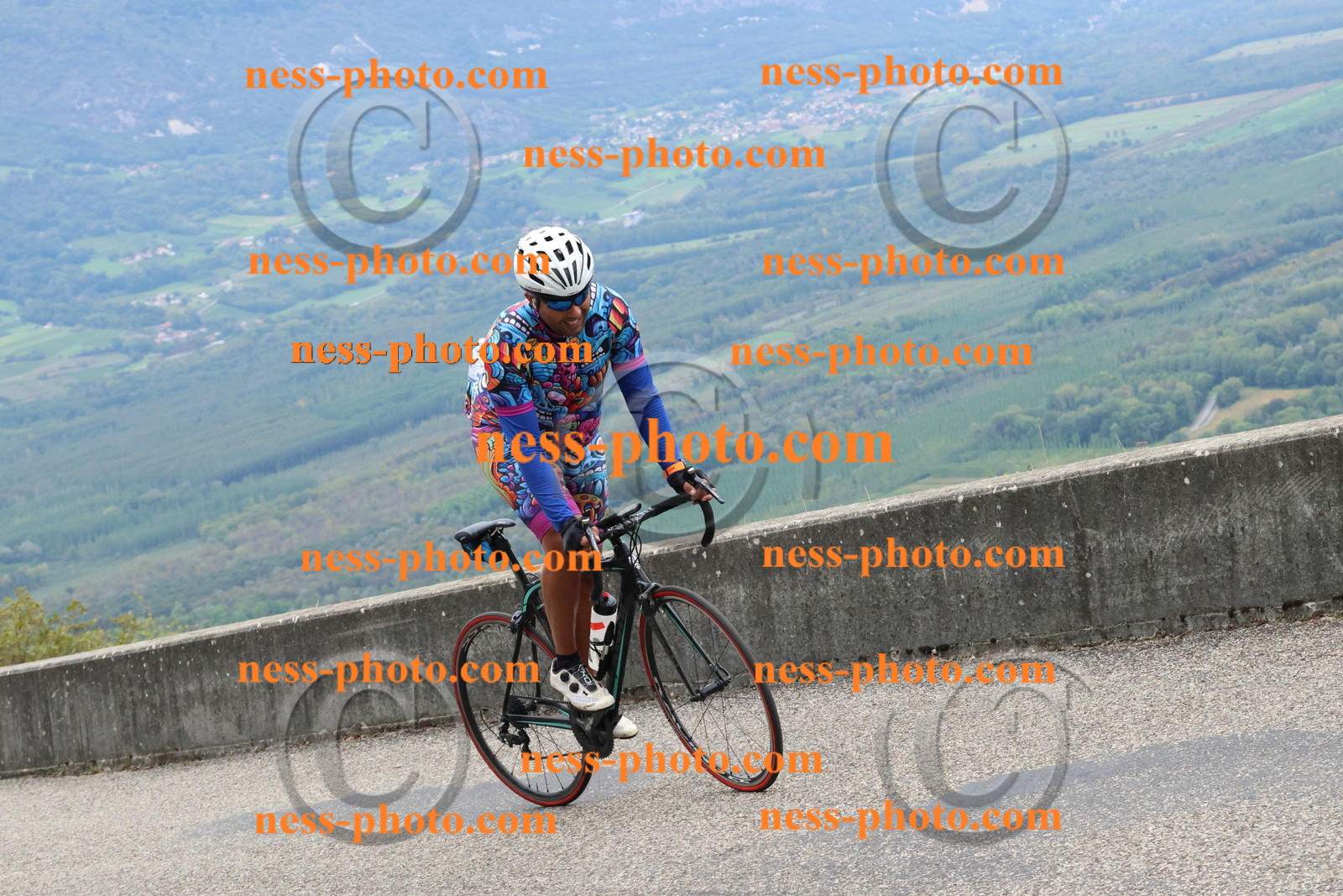 Col du Grand Colombier (2081).JPG