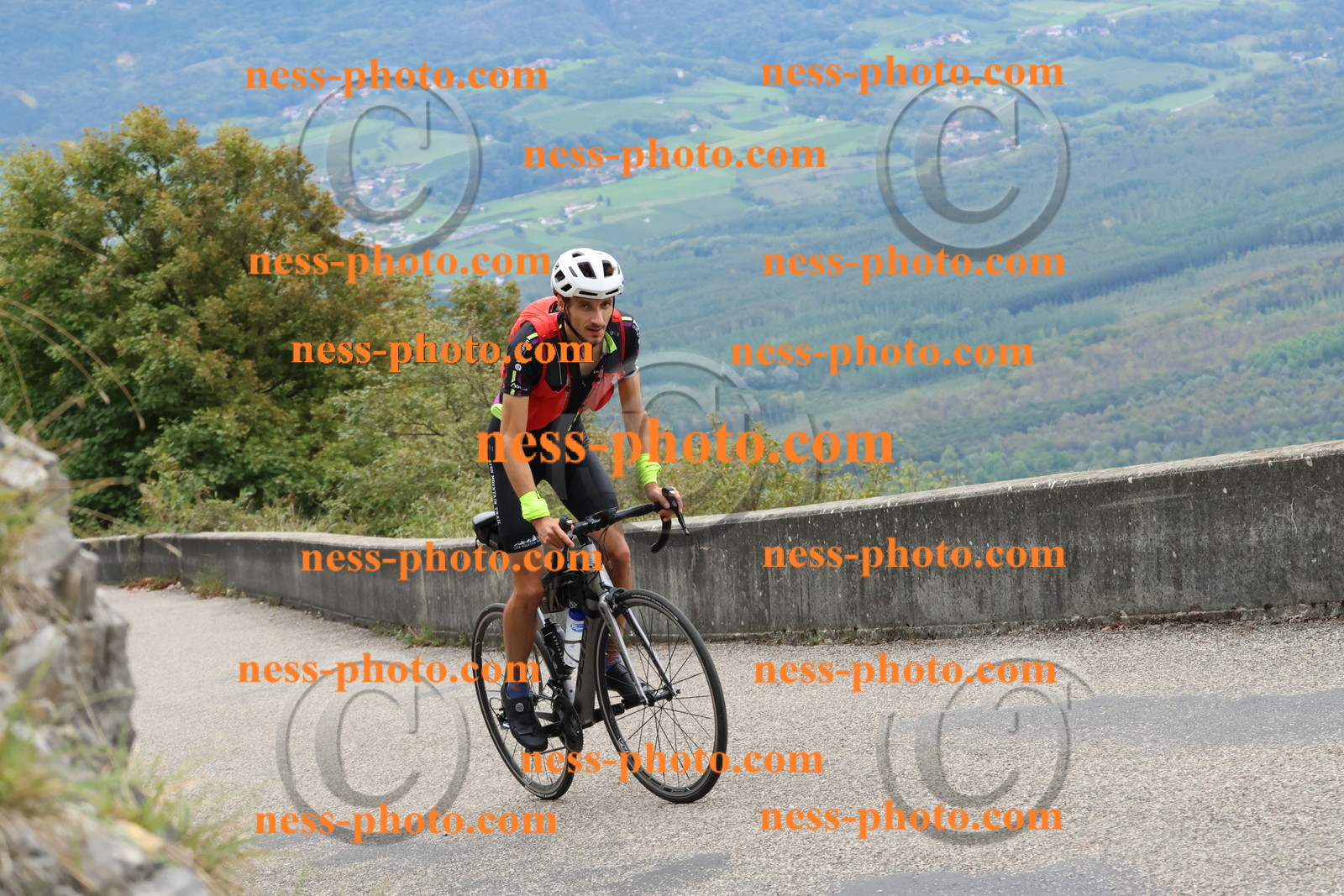 Col du Grand Colombier (2478).JPG