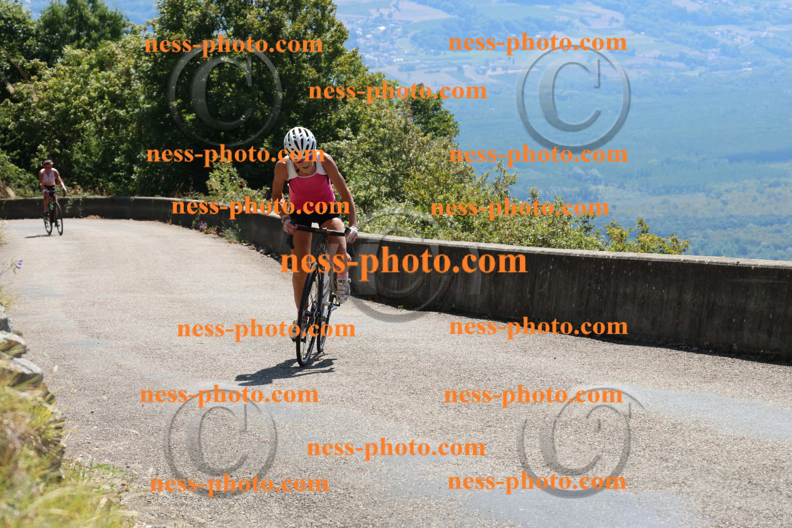 Col du Grand Colombier (364).JPG