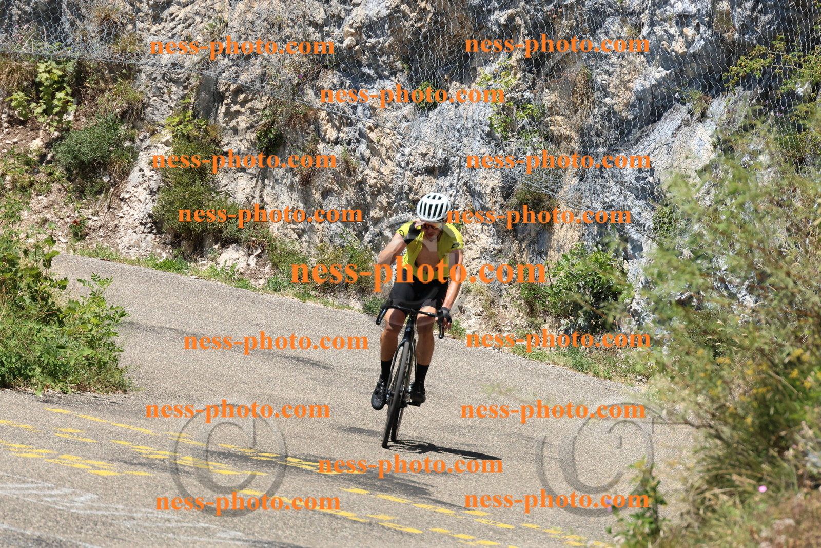 Col du Grand Colombier (561).JPG