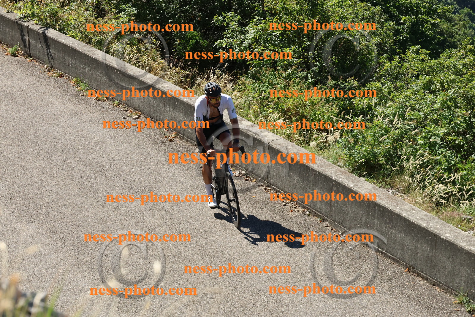 Col du Grand Colombier (170).JPG