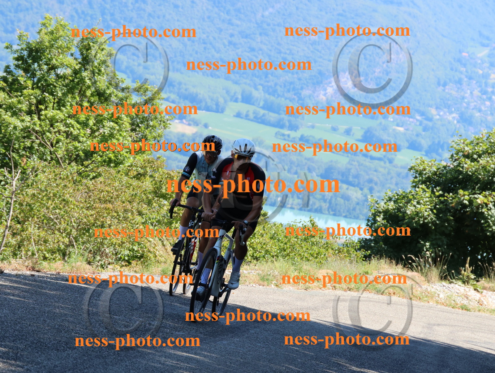 Col du Grand Colombier (2869).JPG