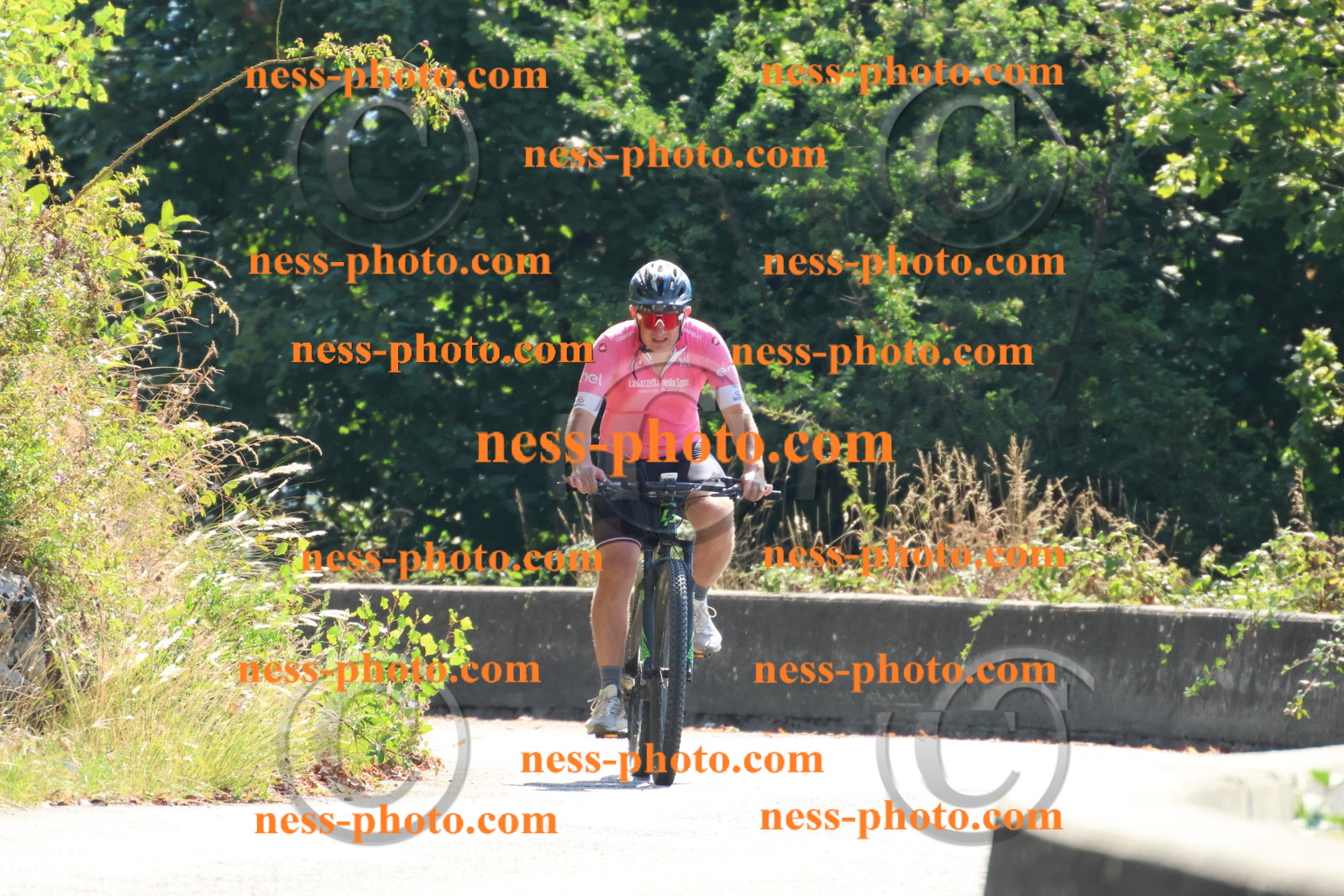 Col du Grand Colombier (157).JPG