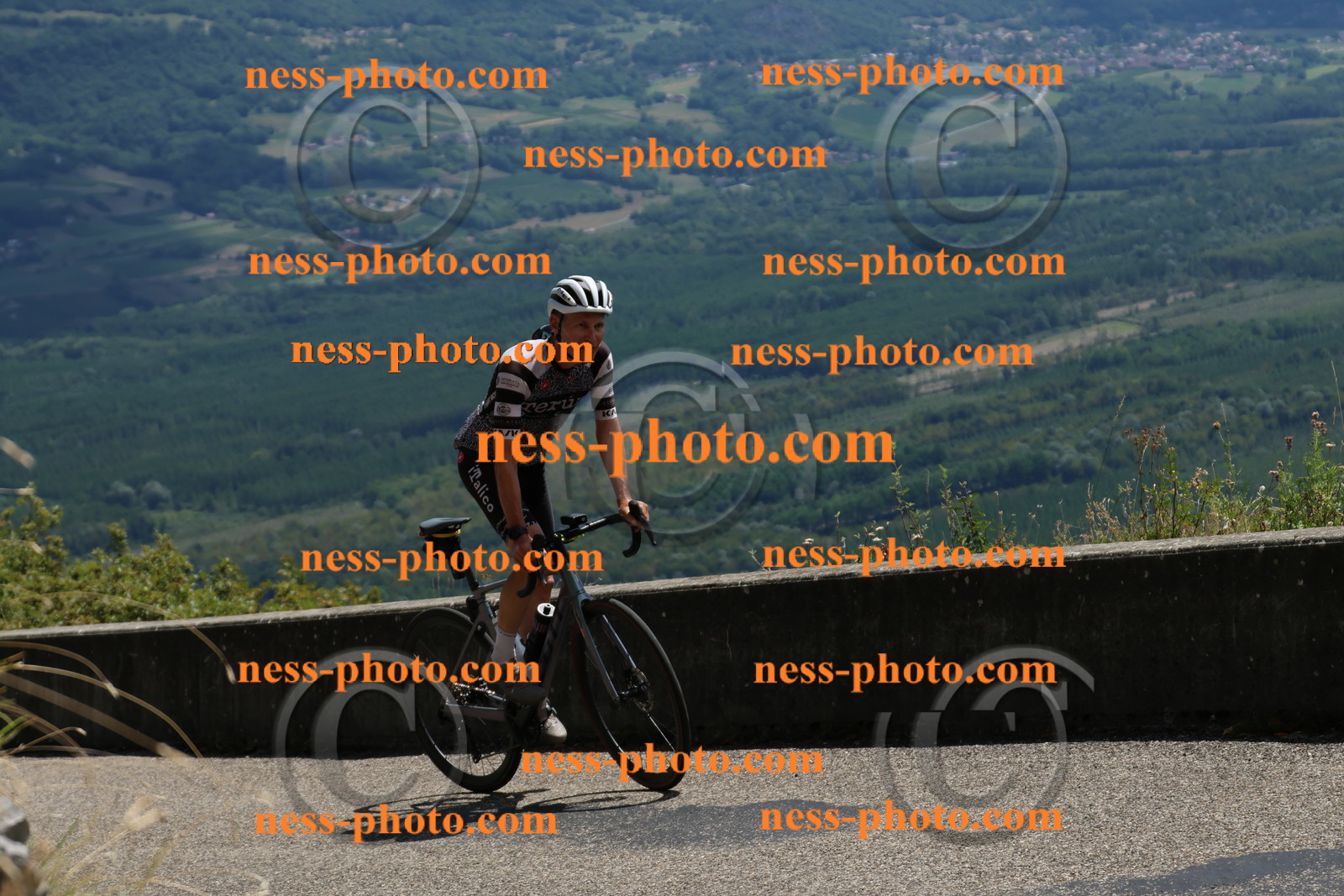 Col du Grand Colombier (379).JPG