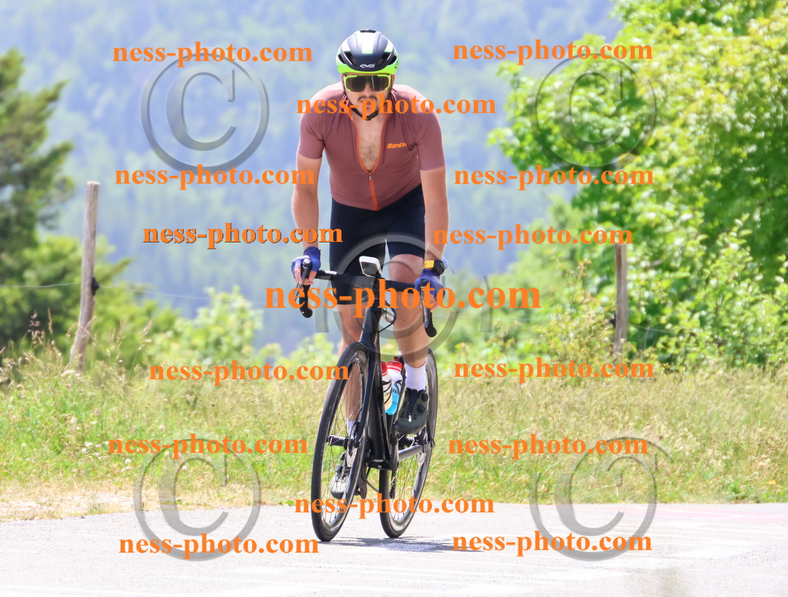 Col du grand Colombier (2835).JPG