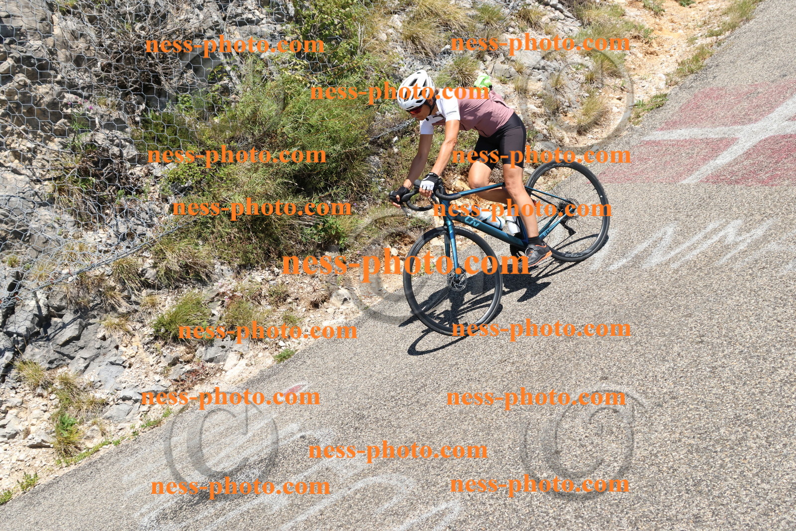 Col du Grand Colombier (603).JPG