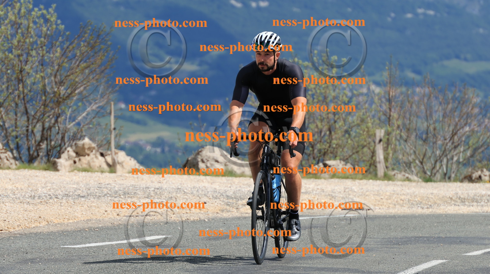 Col du grand Colombier (769).JPG