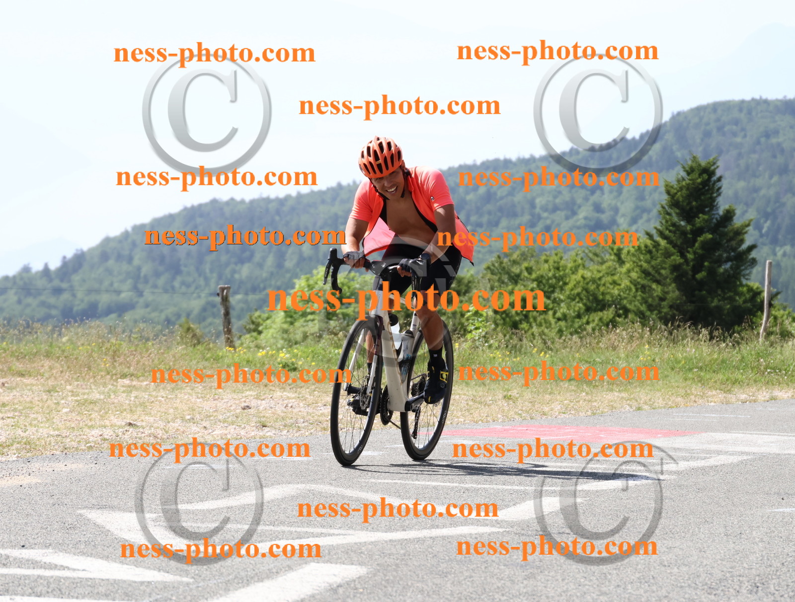 Col du grand Colombier (967).JPG