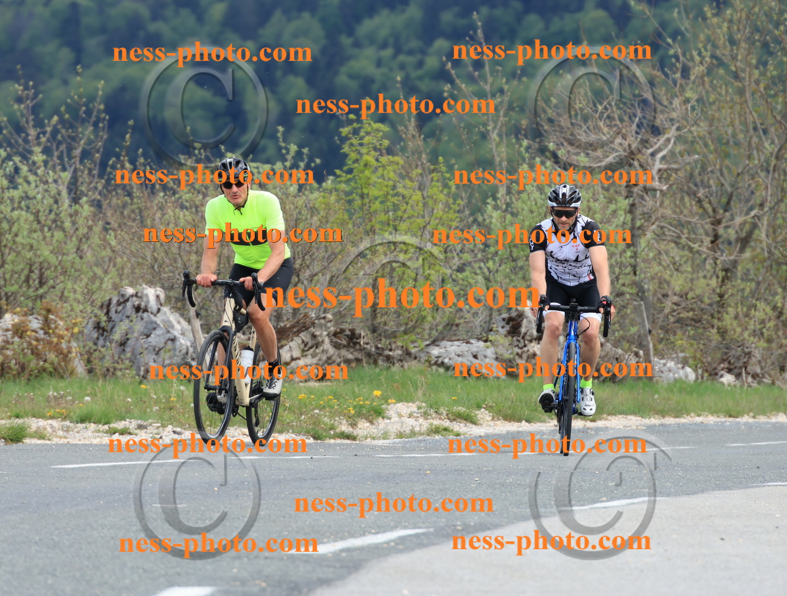 Col du grand Colombier (661).JPG