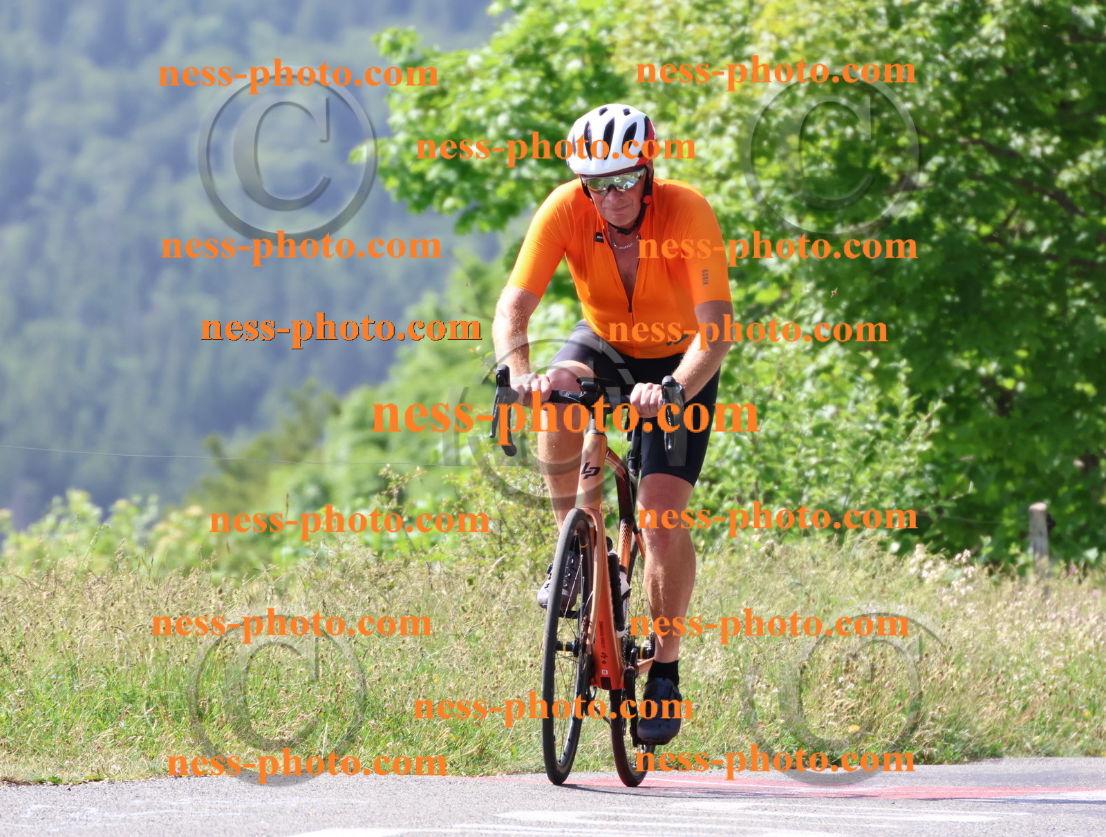 Col du grand Colombier (911).JPG