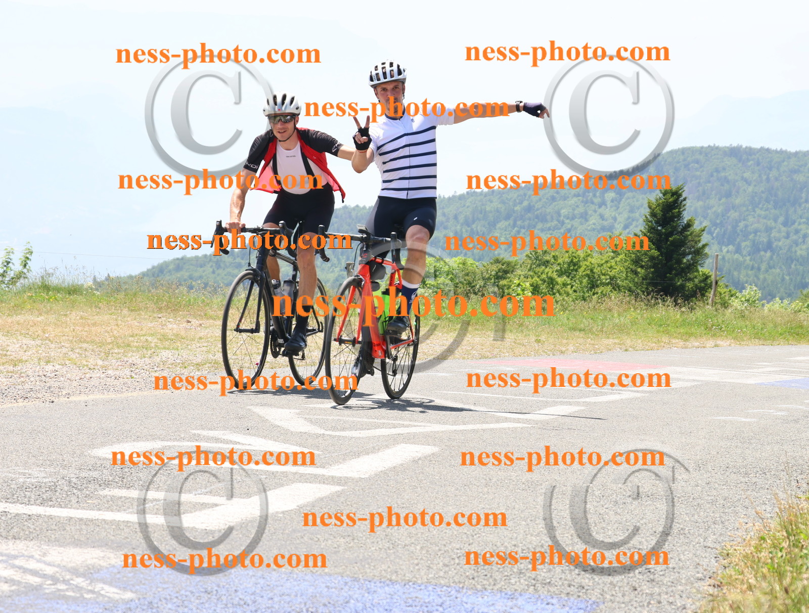 Col du grand Colombier (2598).JPG