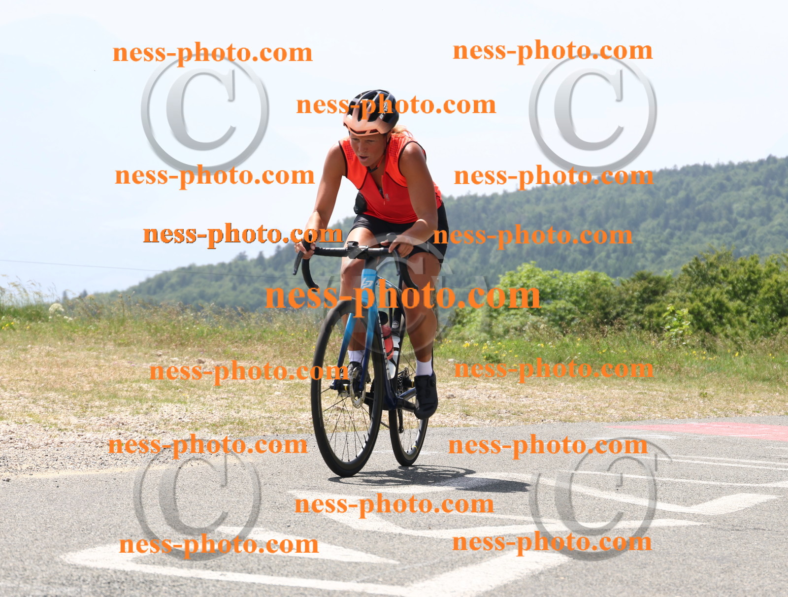 Col du grand Colombier (2067).JPG