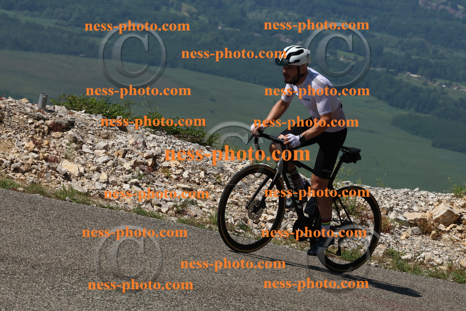 Col du Grand Colombier (364).JPG