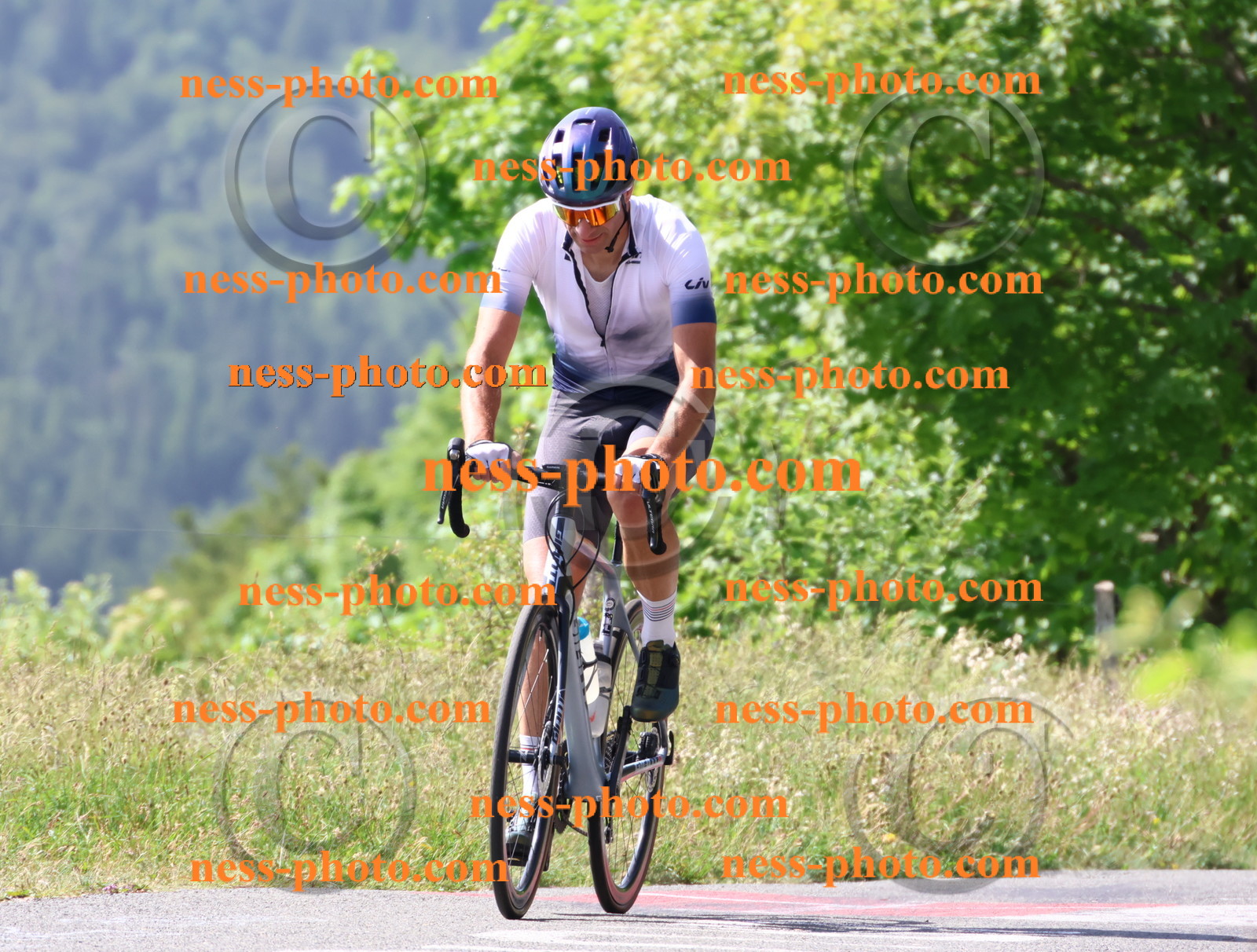 Col du grand Colombier (655).JPG