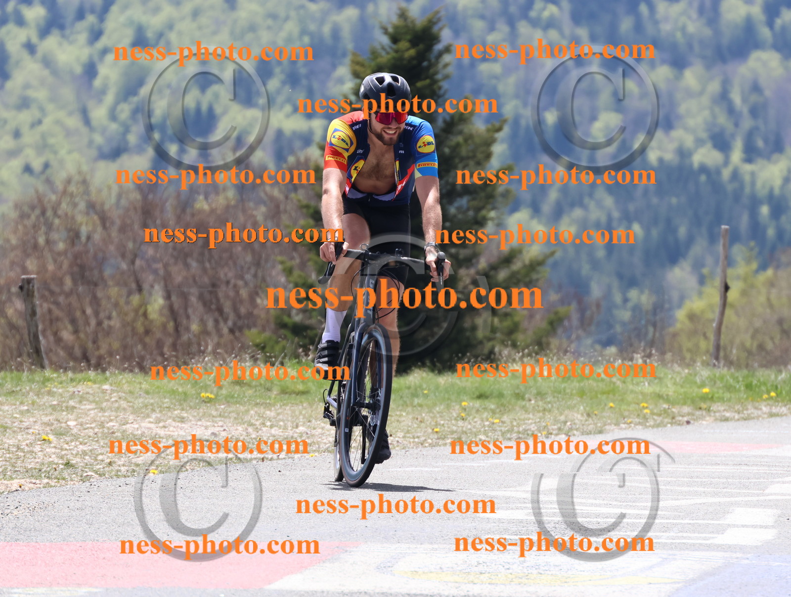 Col du Grand Colombier (354).JPG