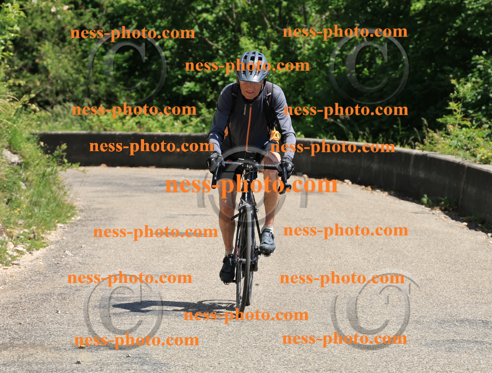 Col du Grand Colombier (654).JPG