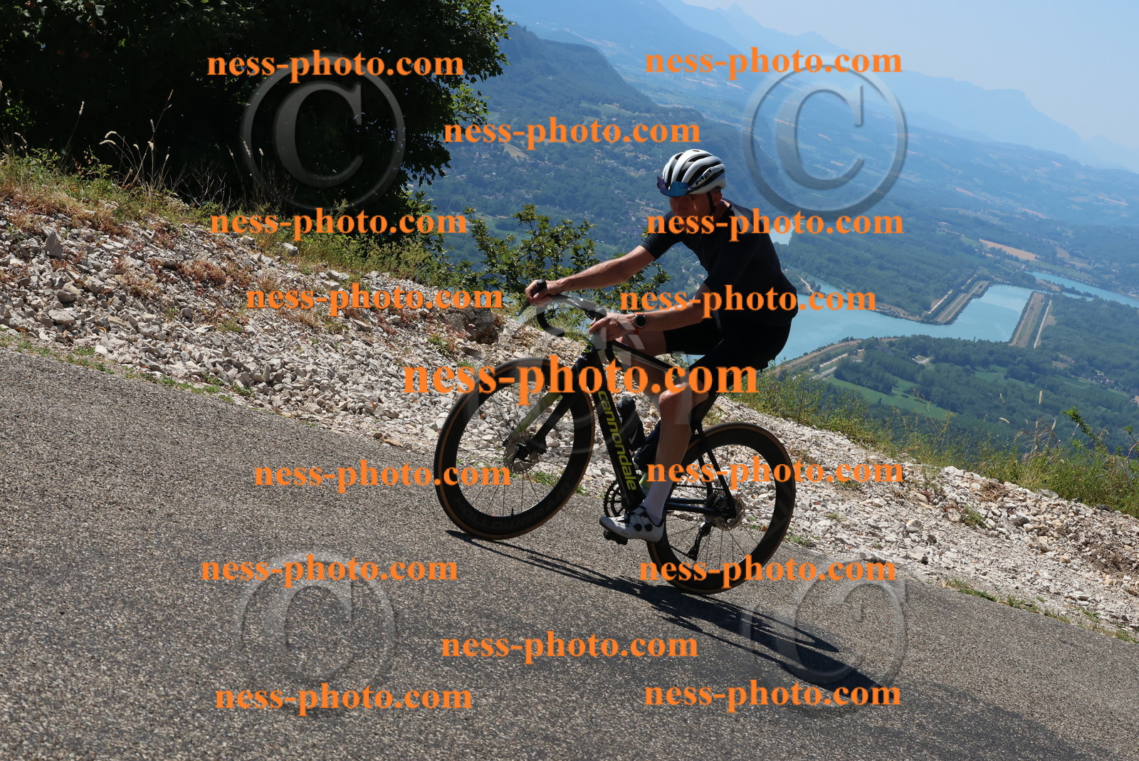 Col du Grand Colombier (466).JPG