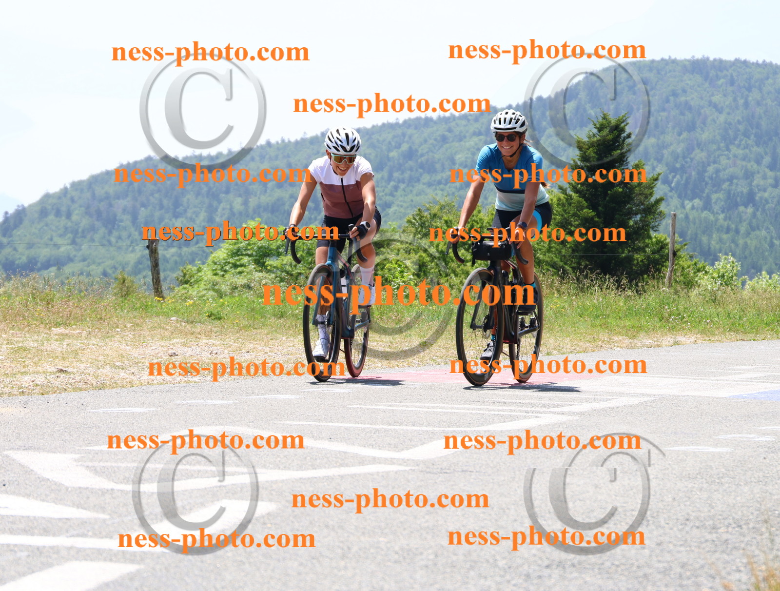 Col du grand Colombier (2695).JPG