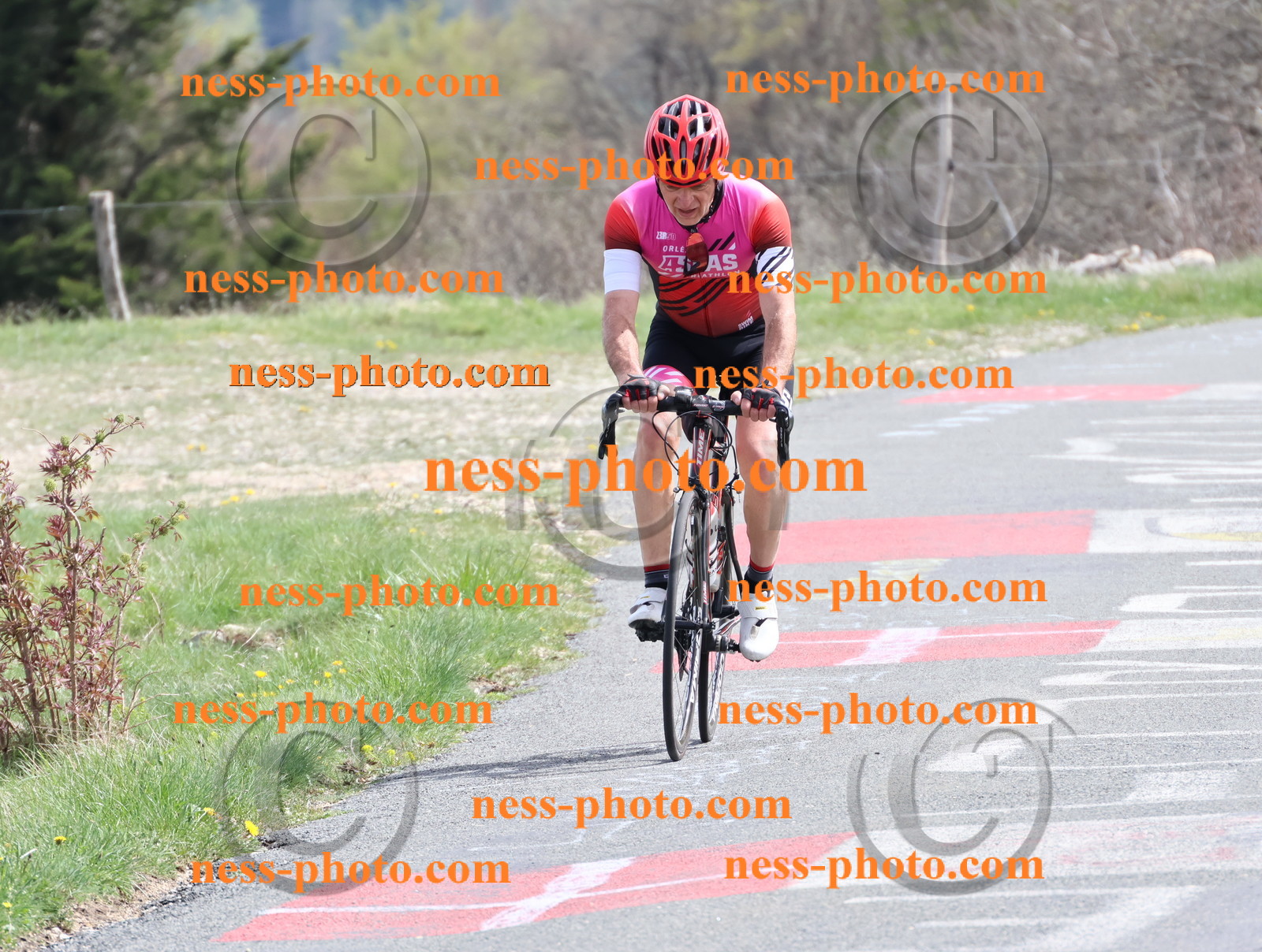 Col du Grand Colombier (1018).JPG