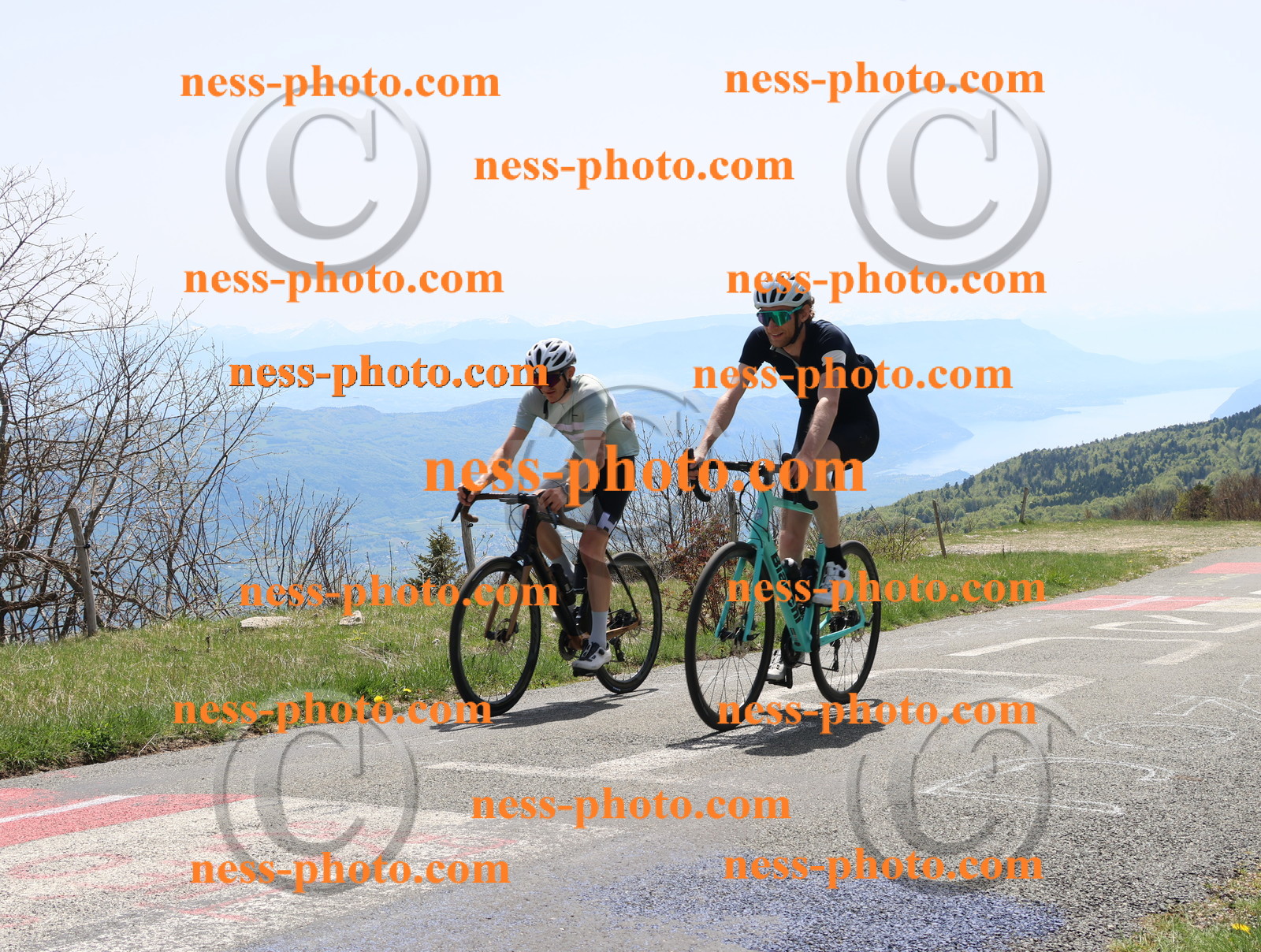 Col du Grand Colombier (240).JPG