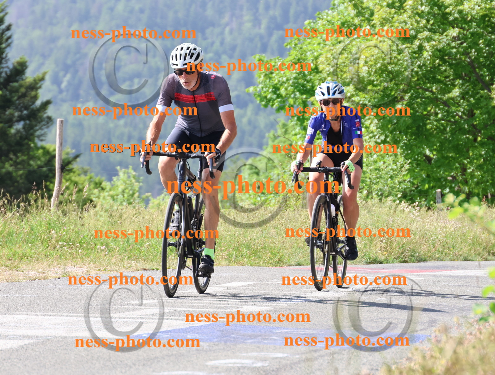 Col du grand Colombier (581).JPG