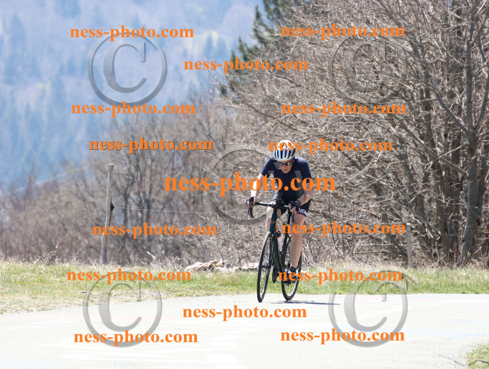 Col du Grand Colombier (181).JPG