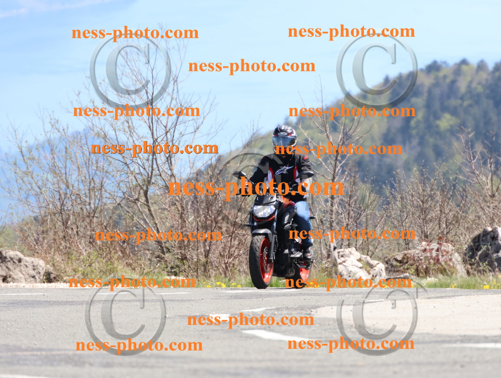 Col du Grand Colombier (204).JPG