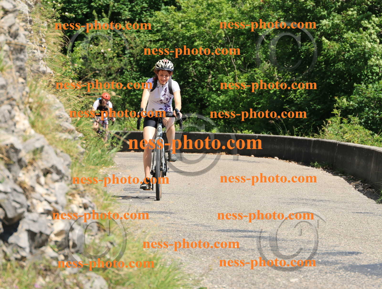 Col du Grand Colombier (719).JPG