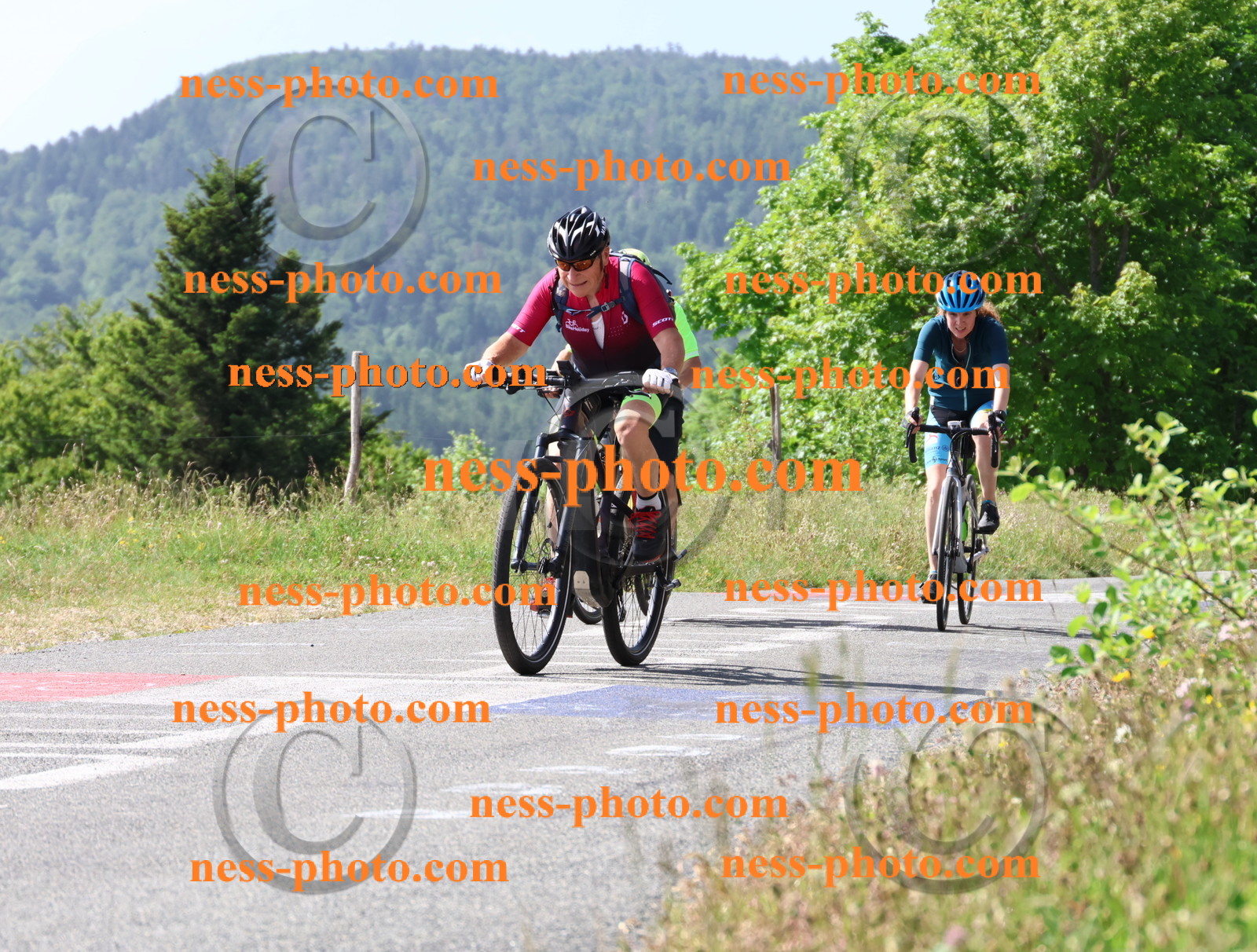 Col du grand Colombier (708).JPG