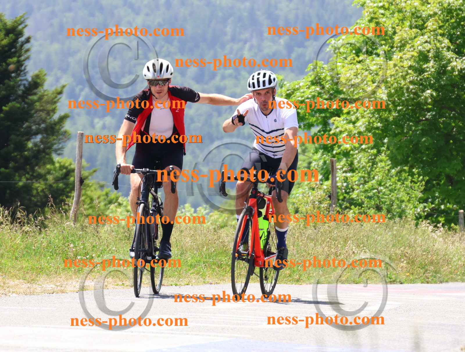 Col du grand Colombier (2594).JPG