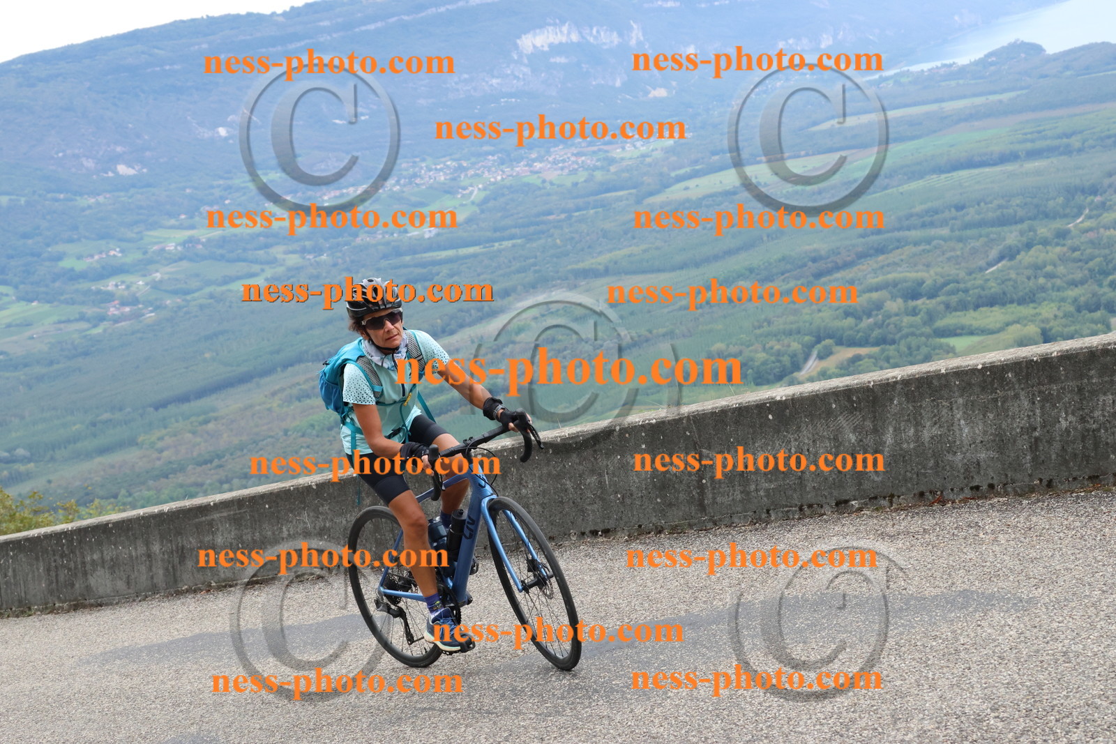 Col du Grand Colombier (2061).JPG