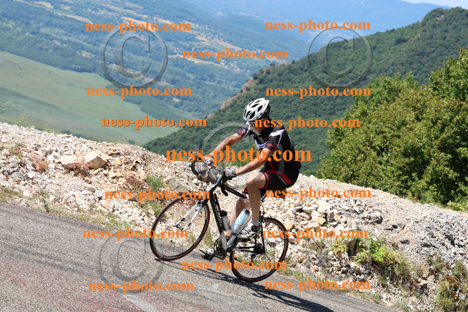 Col du Grand Colombier (2430).JPG