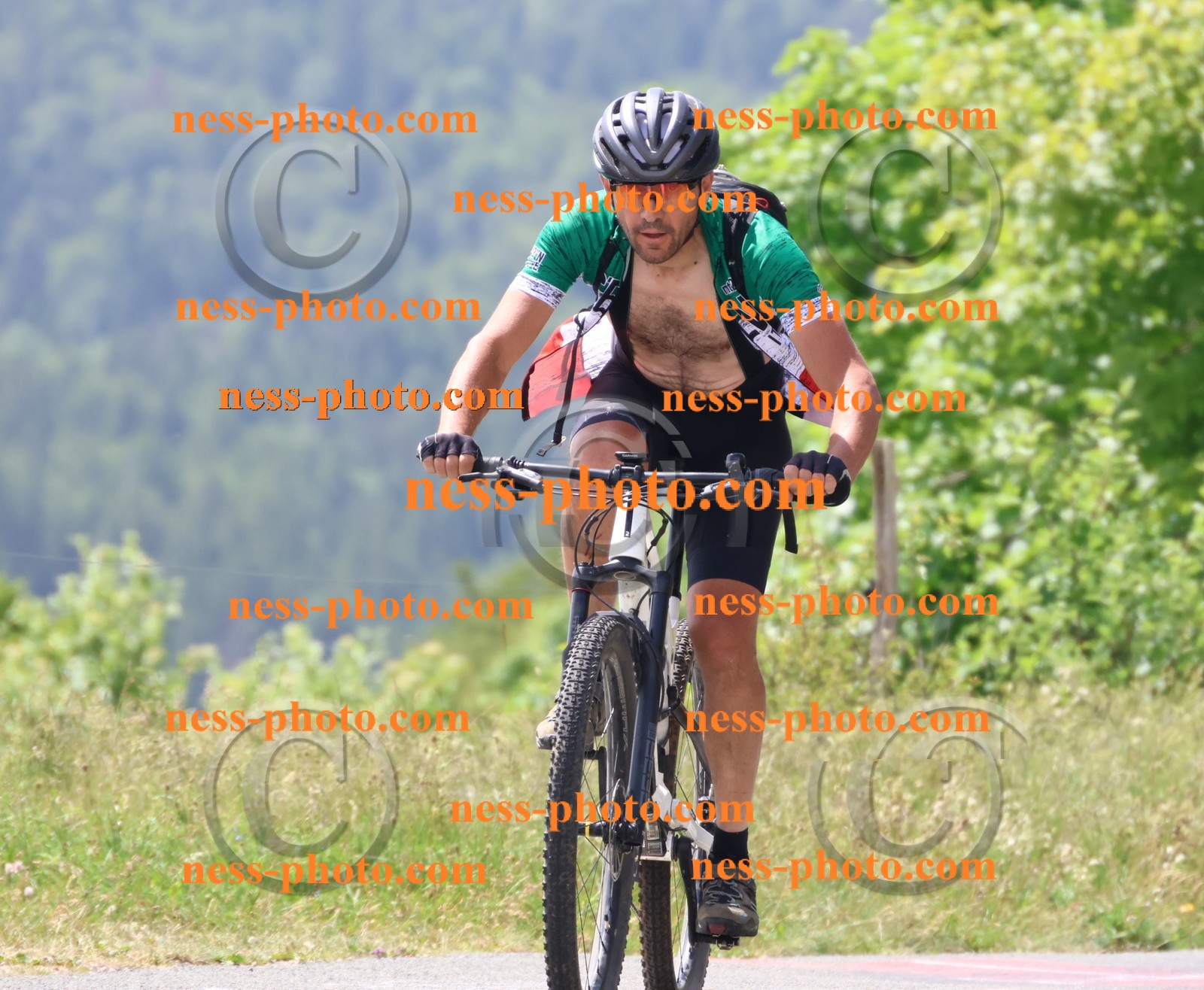 Col du grand Colombier (2038).JPG