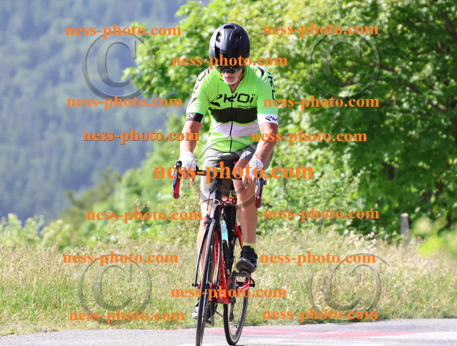 Col du grand Colombier (493).JPG