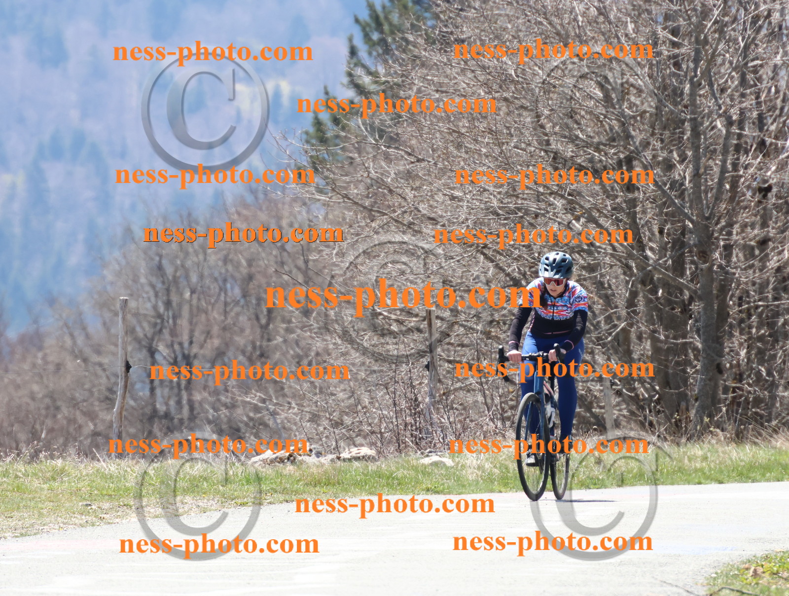 Col du Grand Colombier (236).JPG