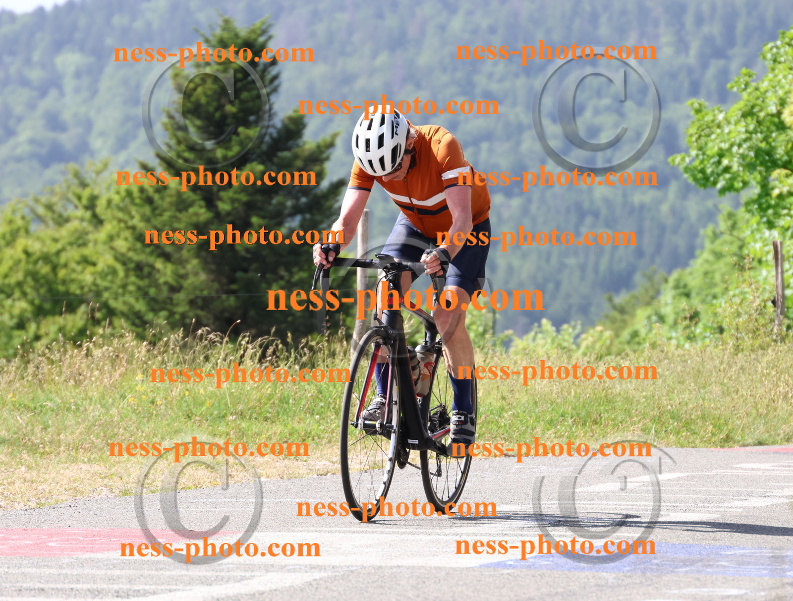Col du grand Colombier (562).JPG