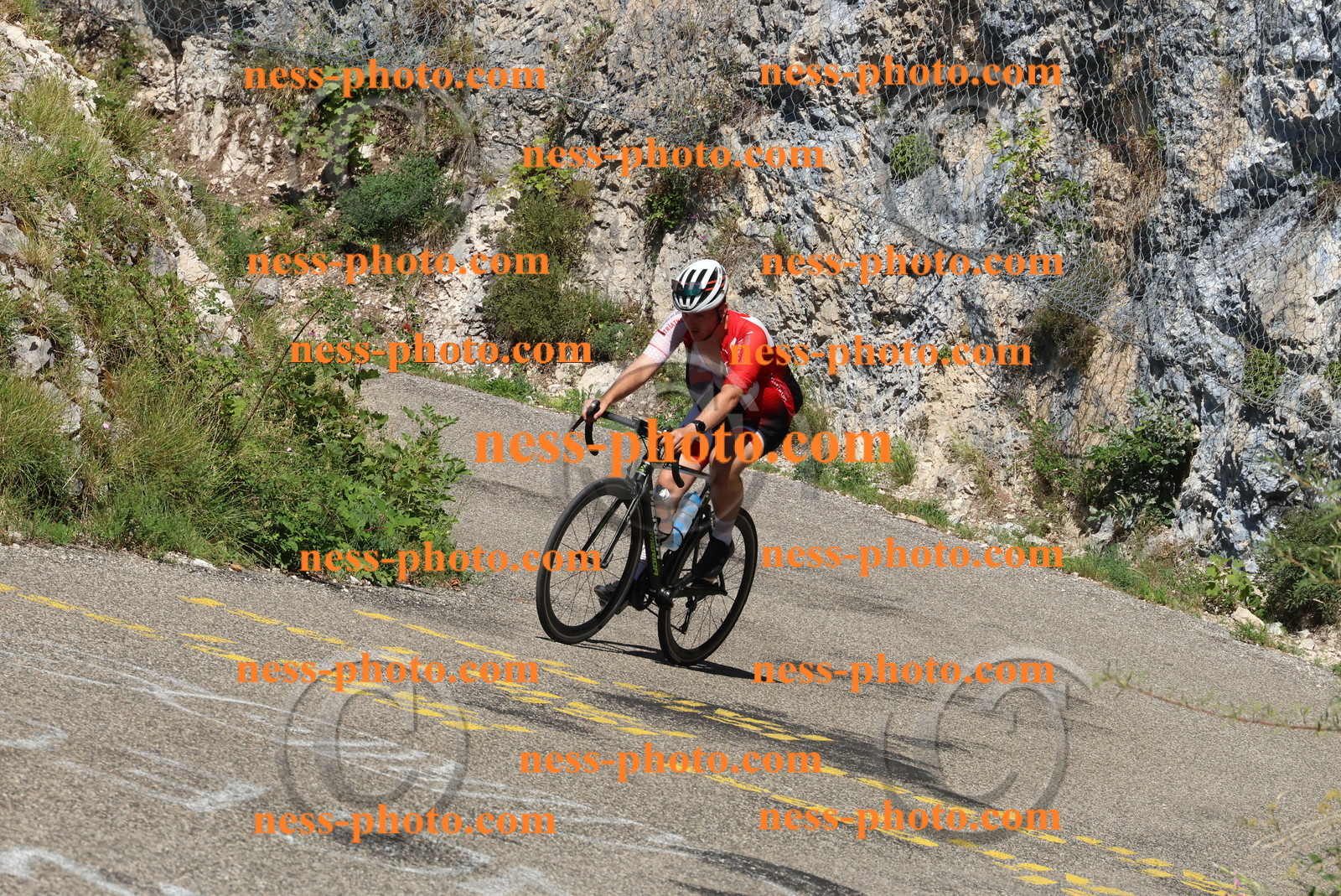 Col du Grand Colombier (516).JPG