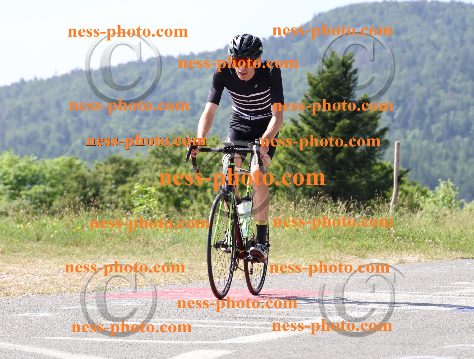 Col du grand Colombier (677).JPG