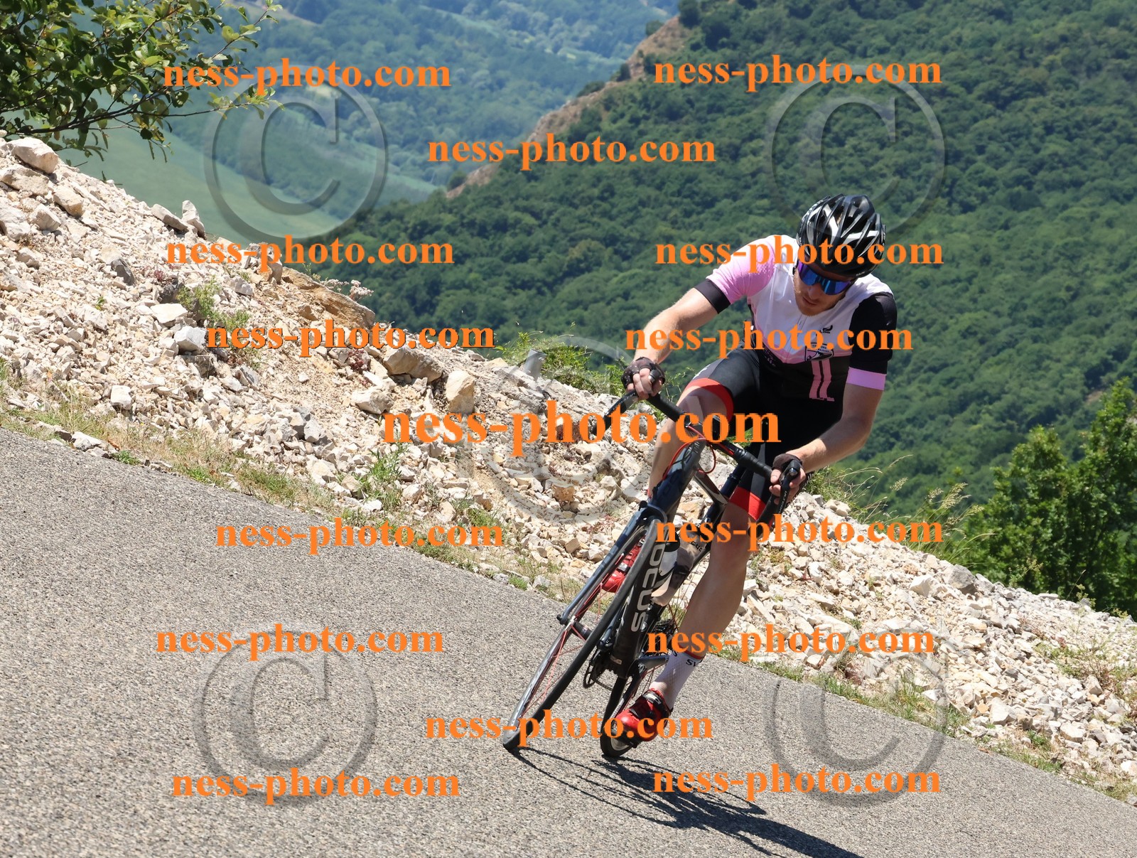 Col du Grand Colombier (549).JPG