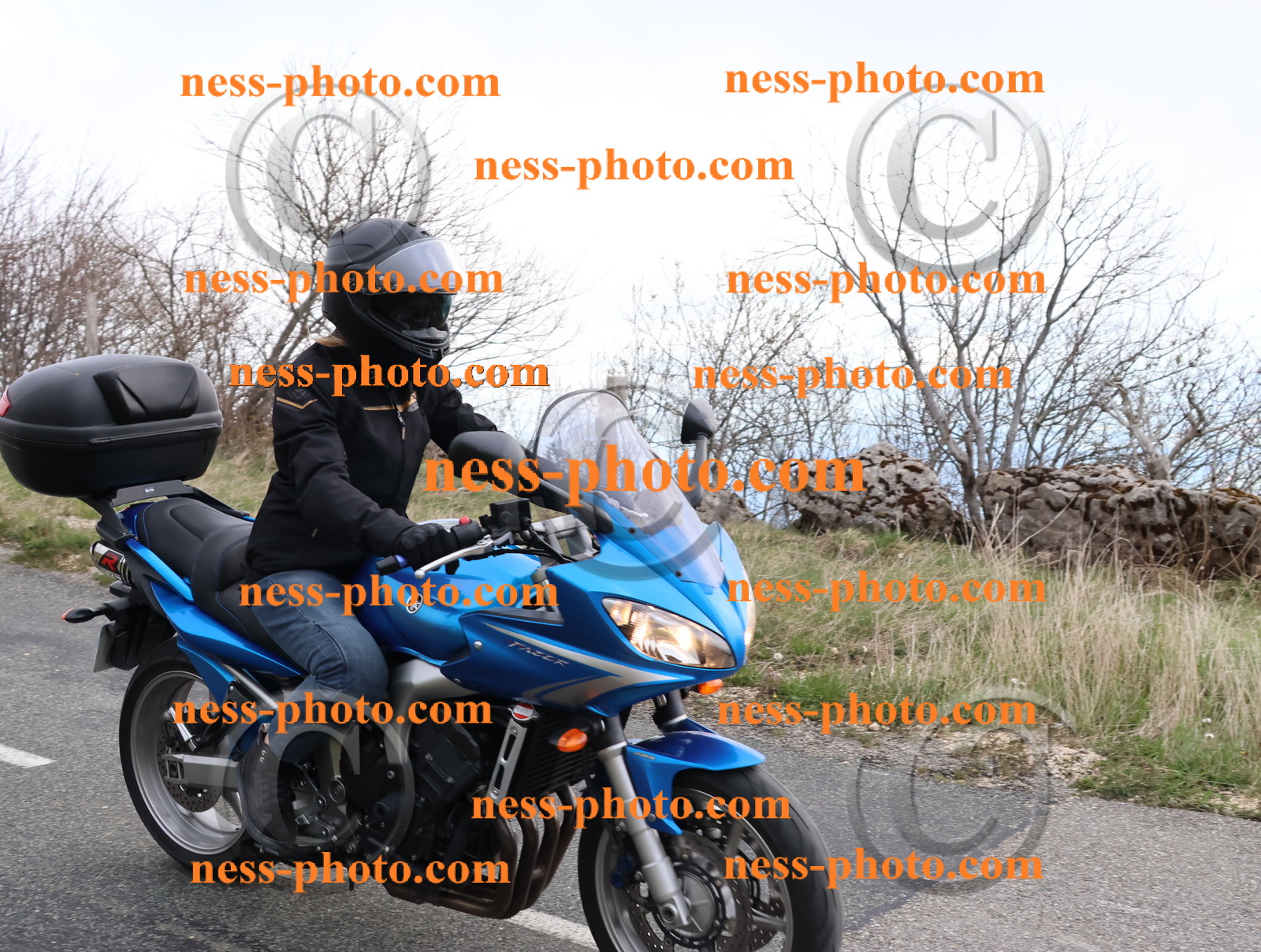 Col du Grand Colombier (95).JPG