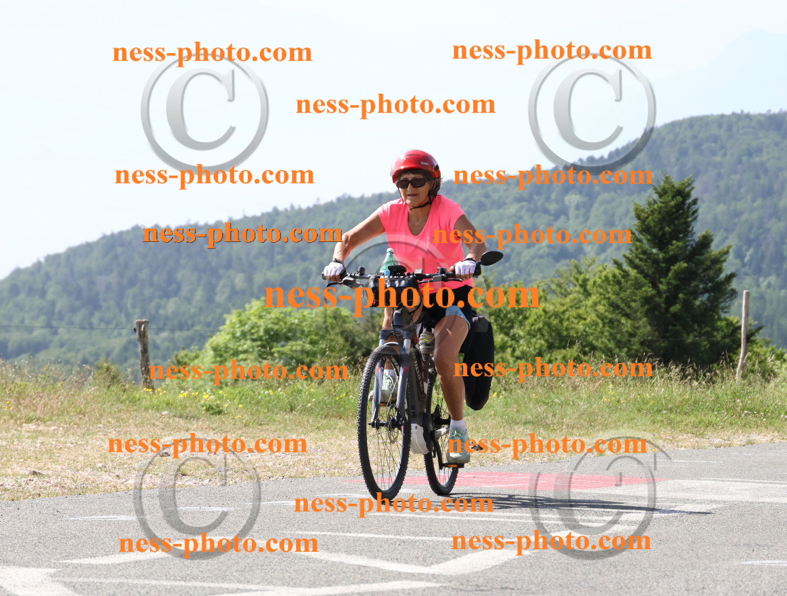 Col du grand Colombier (840).JPG