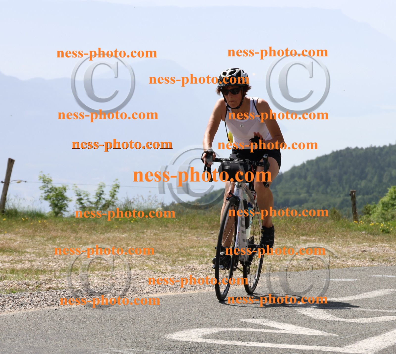 Col du grand Colombier (1617).JPG