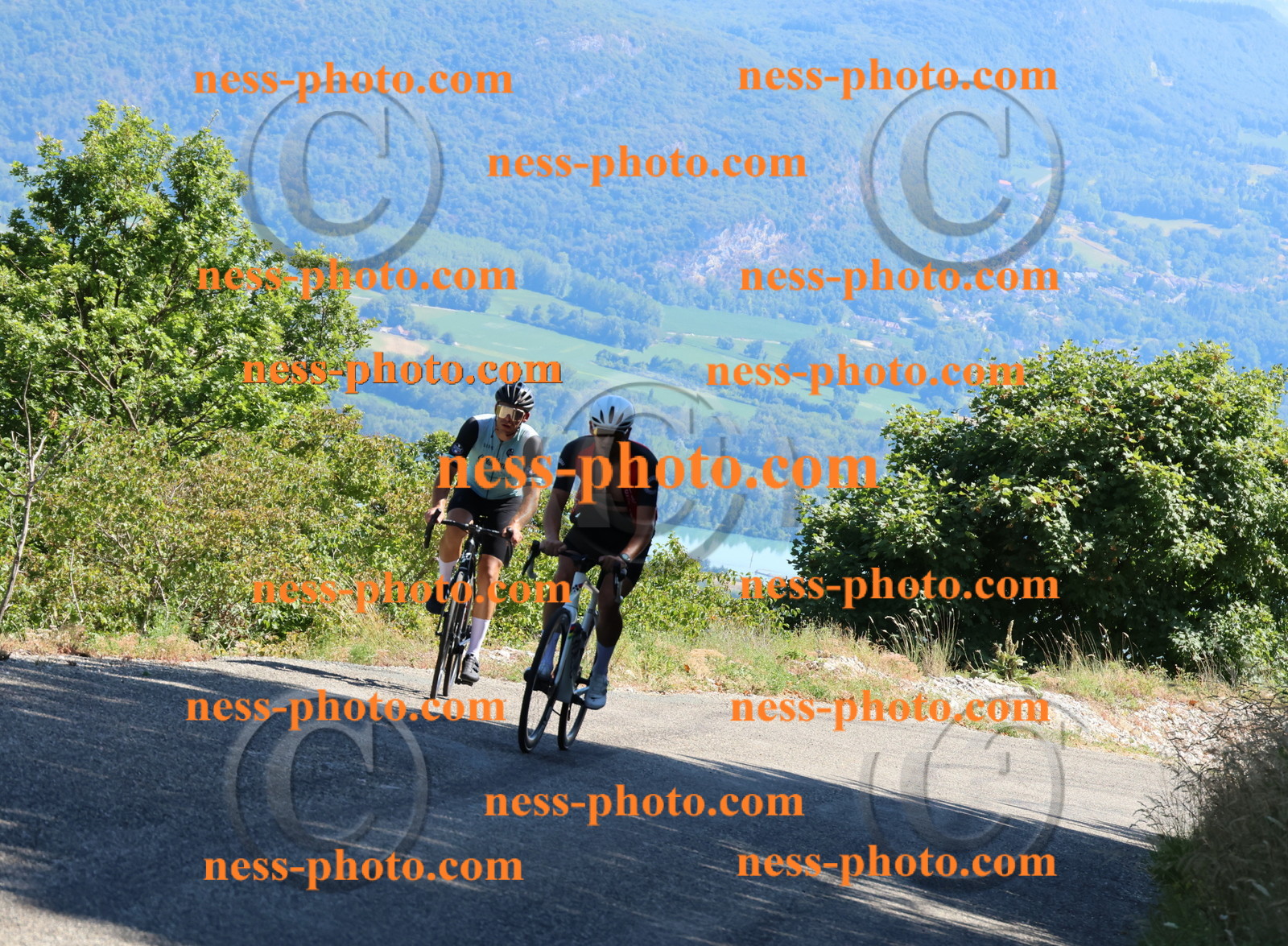 Col du Grand Colombier (2868).JPG