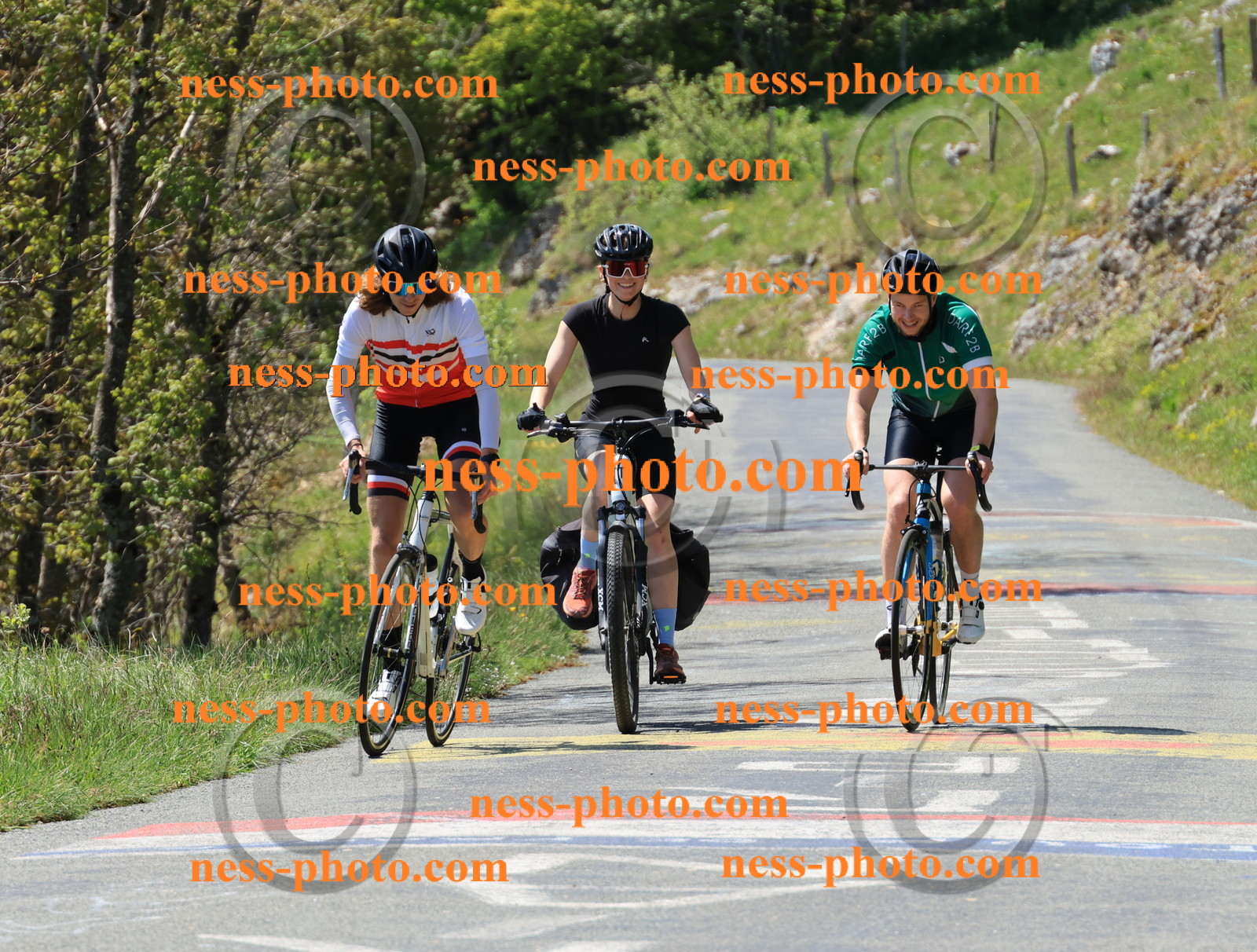 Col du Grand Colombier (39).JPG