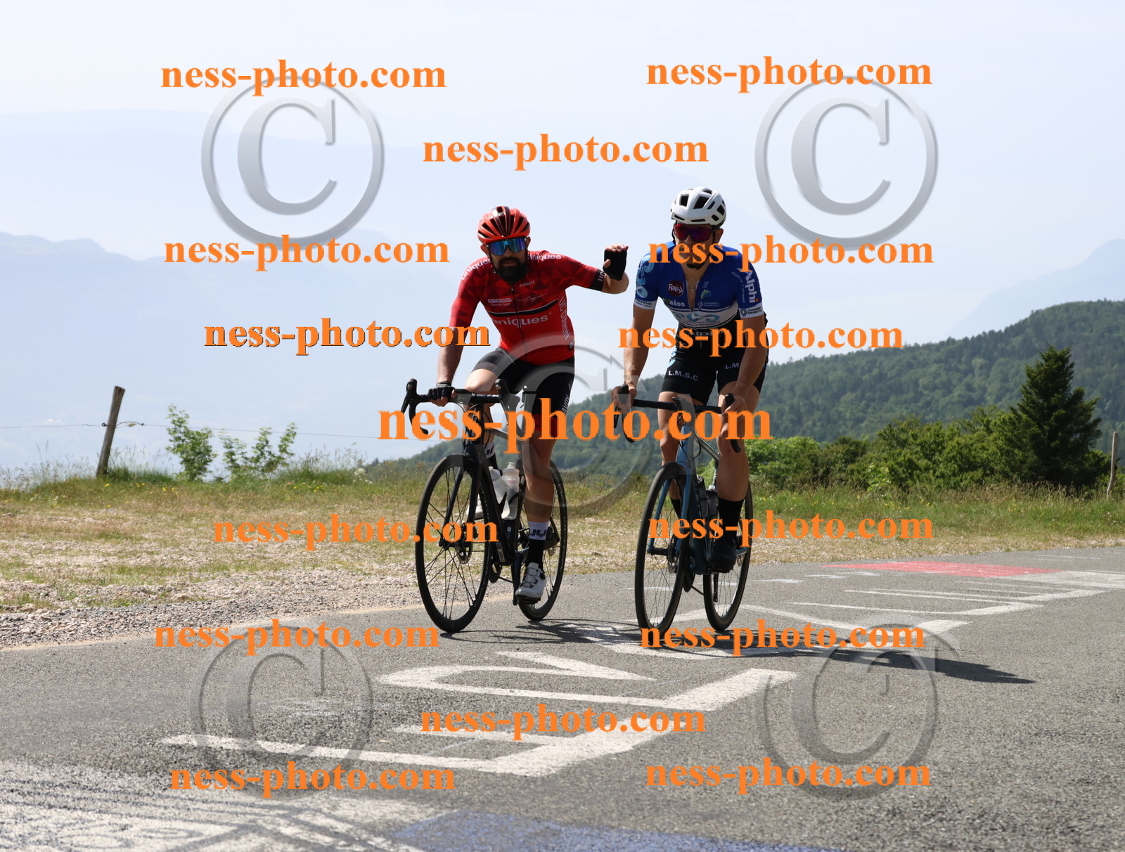 Col du grand Colombier (1134).JPG