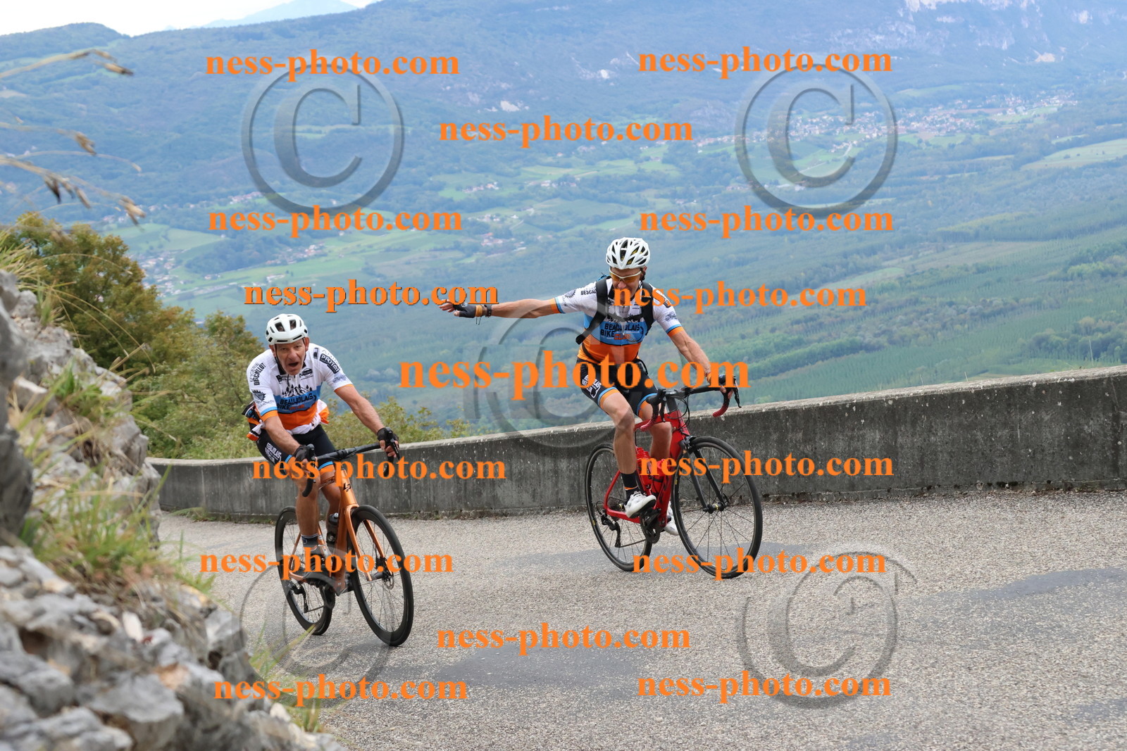 Col du Grand Colombier (1147).JPG