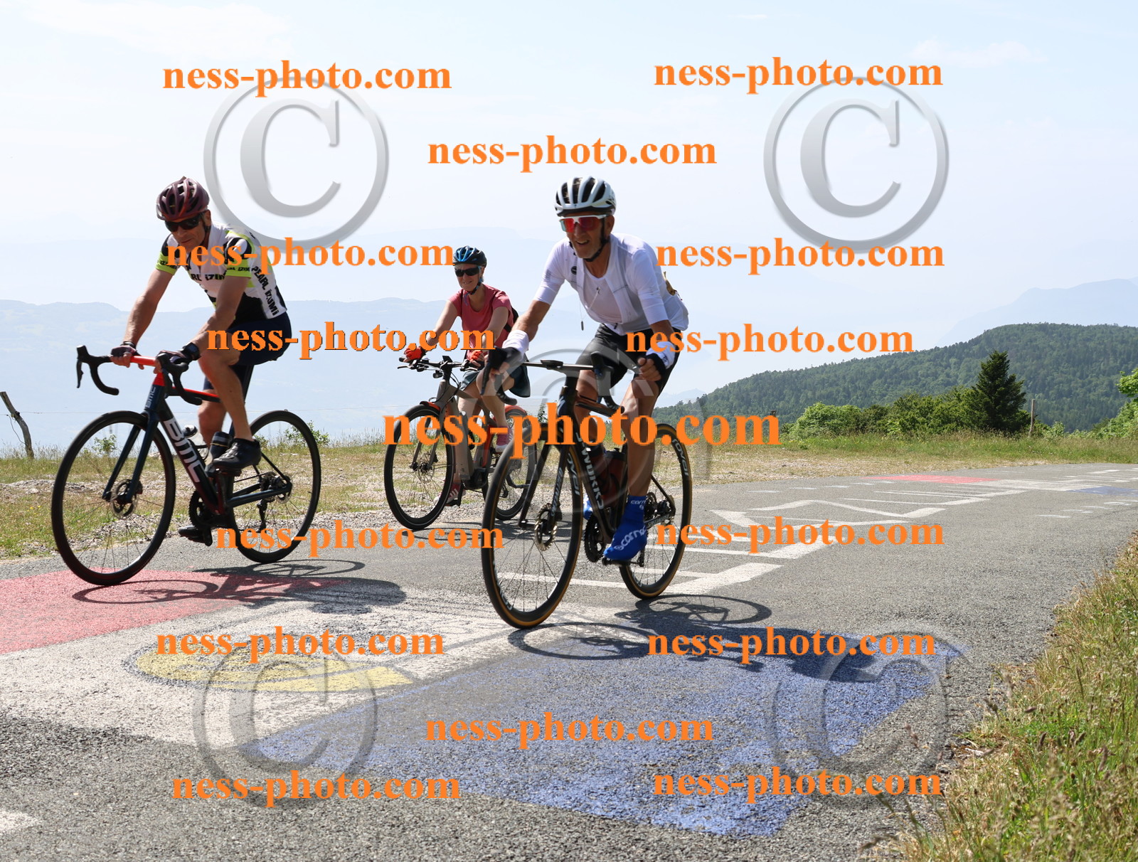Col du grand Colombier (1306).JPG