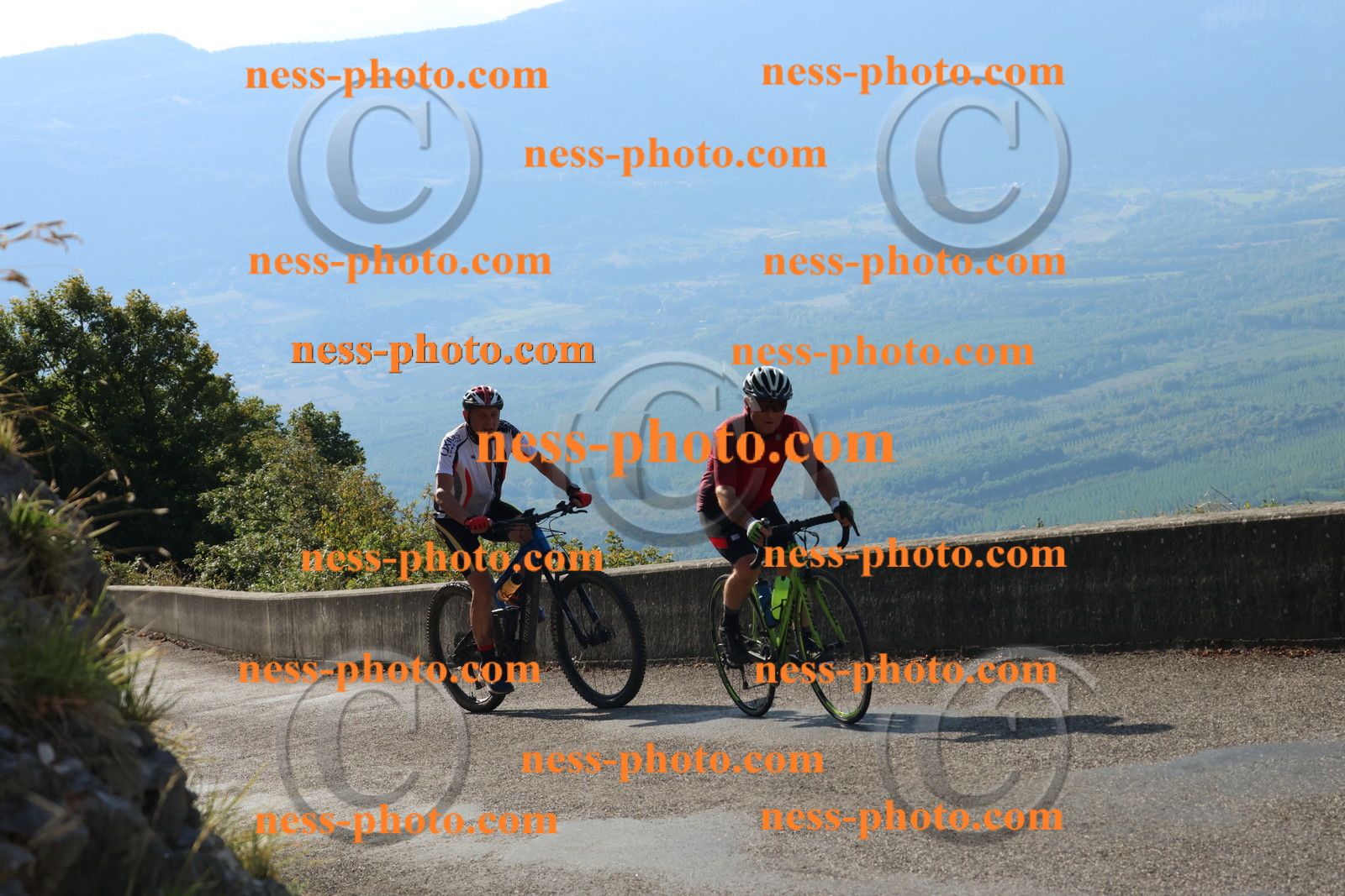 Col du Grand Colombier (1141).JPG